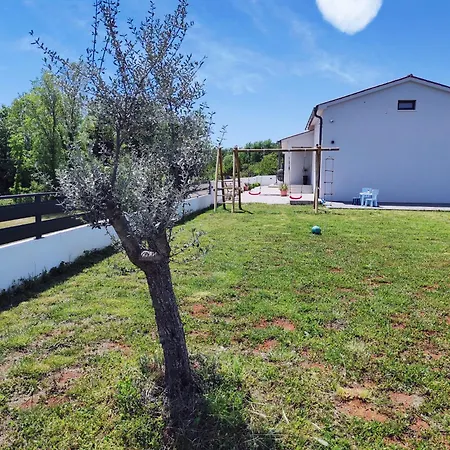 Vine - New Luxury House In A Oasis Villa